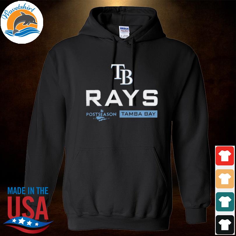 Gildan Tampa Bay Rays MLB Shirts for sale