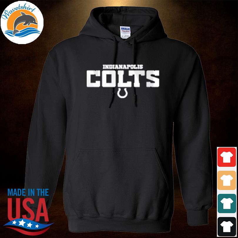 Nfl team store 2022 indianapolis colts team logo shirt, hoodie