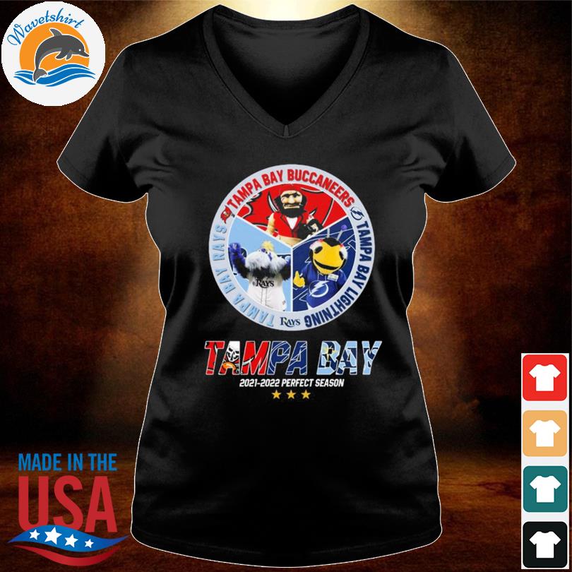 Perfect Season Tampa Bay Rays Tampa Bay Lightning And Tampa Bay Buccaneers  Unisex T-Shirt - Teeruto