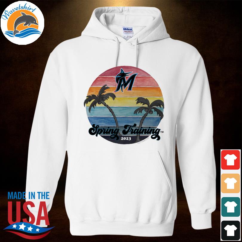 New York Mets Spring Training 2023 Vintage Long Sleeves T Shirt, hoodie,  sweater, long sleeve and tank top