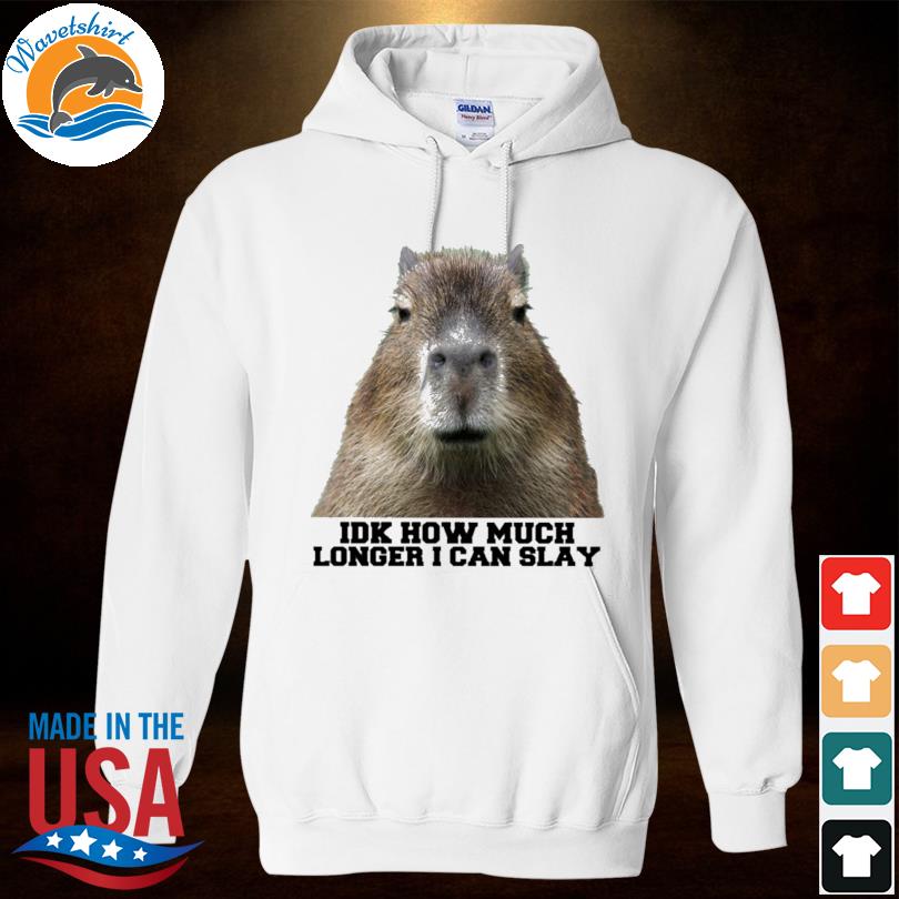 Capybara IDK how much longer I can slay 2023 s Hoodied