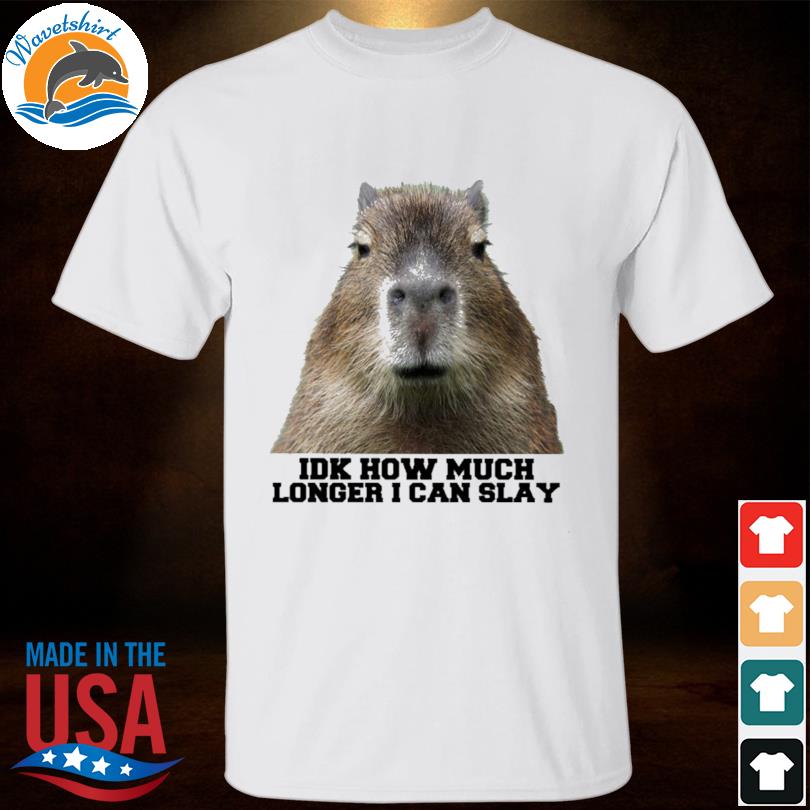 Capybara IDK how much longer I can slay 2023 shirt