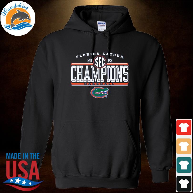 Florida Gators 2023 Champions Baseball s Hoodied