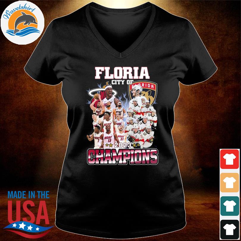 Floria City Of Champions Heat And Panthers T-Shirt, hoodie