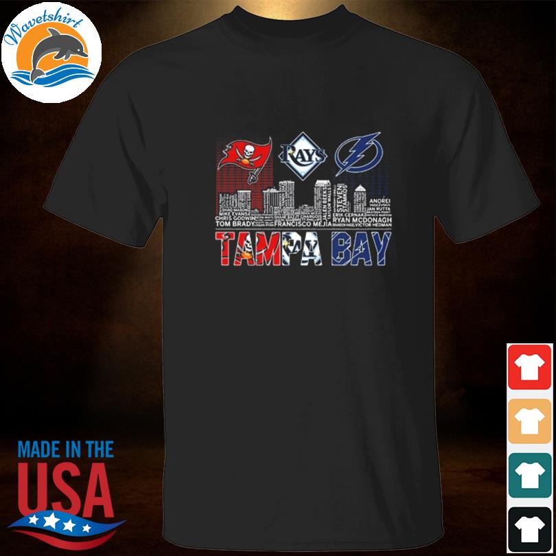 Tampa Bay Buccaneers Bay Lightning Bay Rays skyline logo shirt