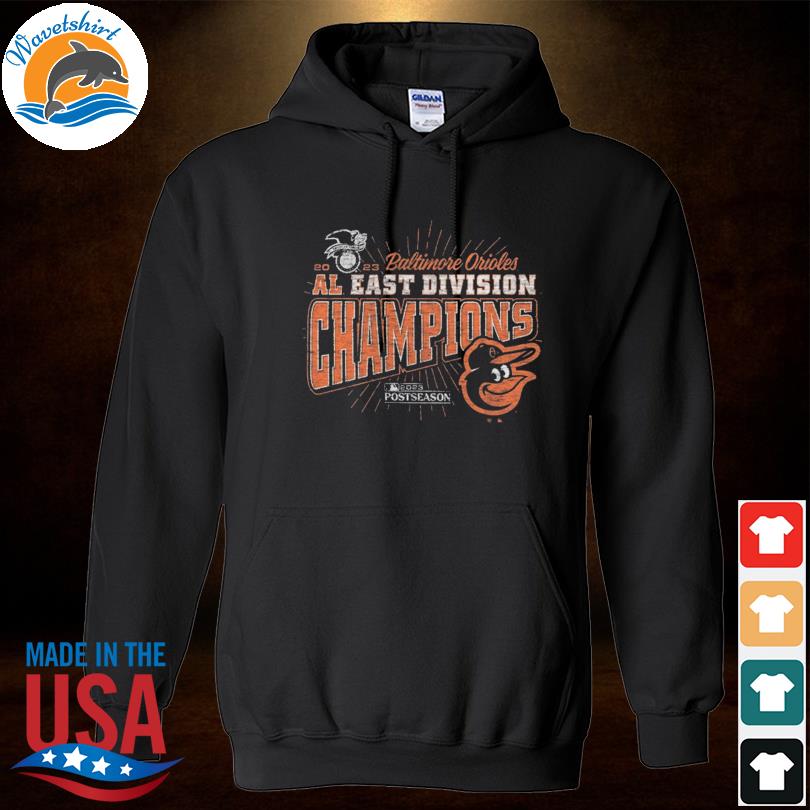 Chicago Bears NFC North Division Champions 2018 Sweatshirt in 2023