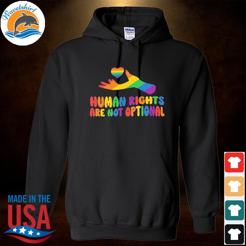 LGBt human rights are not optional 2024 shirt, hoodie, sweater, long ...